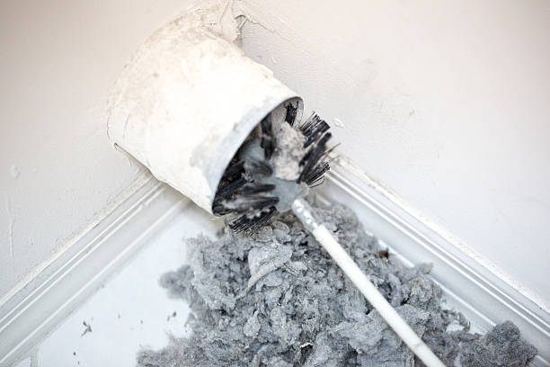 Best Air Duct Mold Removal  in Martinez, CA